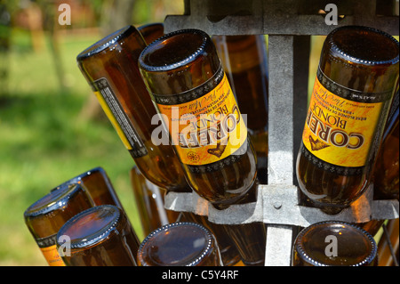 Une pile de bouteilles de bière blonde Coreff Bretagne, FR Banque D'Images