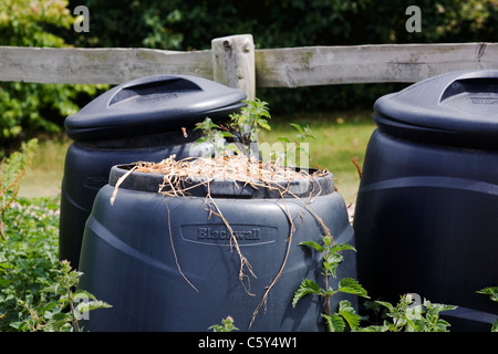 Casiers de compost Ryton jardins biologiques, Warwickshire, Angleterre Banque D'Images