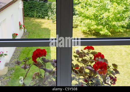Belle vue depuis la fenêtre en plastique. Les fleurs rouges sur le bas de caisse. Pelouse dans la cour. Banque D'Images
