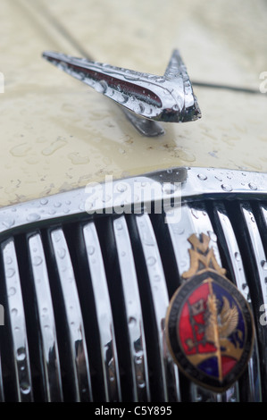 Automobile britannique Vauxhall classique calandre chromée et d'un insigne distinctif Banque D'Images