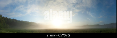 Panorama 180 degrés d'un champ et de bois recouvert d'un épais brouillard au lever du soleil, le soleil se lève derrière les nuages Banque D'Images