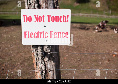 Un panneau d'avertissement pour une clôture électrique dans une ferme de l'Hudson Valley, New York, USA. Le signe se lit "ne pas toucher ! Clôture électrique'. Banque D'Images