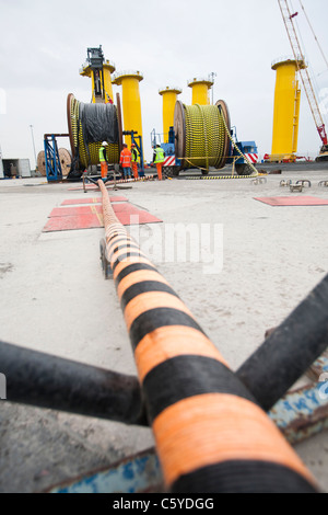 Câblage électrique en mer d'être chargés à bord d'un navire de pose de câbles spécialisés pour l'éolien offshore Walney. Banque D'Images