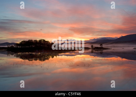 Ba à l'aube, le Loch Rannoch Moor, Ecosse, Grande-Bretagne. Banque D'Images