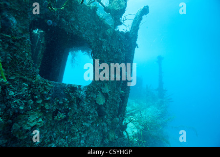 Le Prince Albert épave au large de l'île de Roatan, Honduras. Banque D'Images