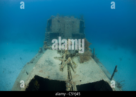 Le Prince Albert épave au large de l'île de Roatan, Honduras. Banque D'Images