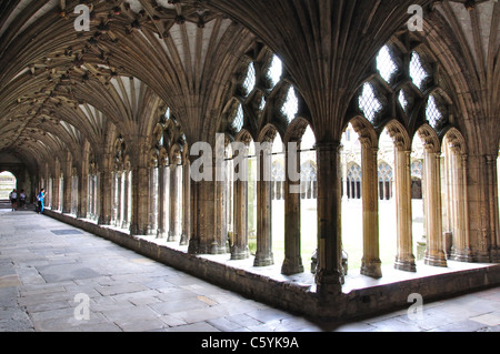 Grand Cloître, La Cathédrale de Canterbury, Canterbury, ville de Canterbury, Kent, England, United Kingdom Banque D'Images