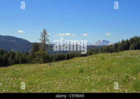 Pré alpin et point de vue sur les lointaines montagnes des Dolomites. Carinthie (Kärnten, Autriche) Banque D'Images