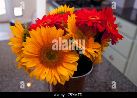 Un vase de tournesol (Helianthus annuus) et Daisy Gerbera rouge fleurs dans un vase sur un comptoir de granit dans une cuisine. Banque D'Images