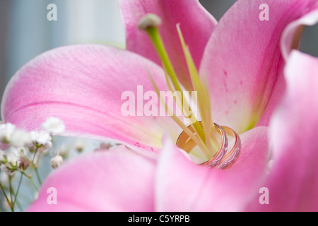 Paire de bagues de mariage sur le pistil de la Lys. DOF très peu profonds. Banque D'Images