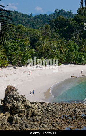 Plage de sable blanc du Parc National Manuel Antonio Puntarenas Costa Rica Banque D'Images