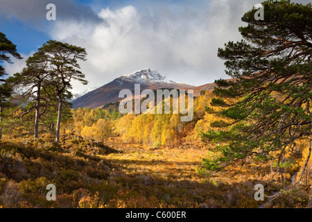 Sgurr na Lapaich et couleurs d'automne dans la région de Glen Affric, Ecosse, Royaume-Uni. Vu de la rivière Affric Trail maintenu par Forestry Commission Scotland Banque D'Images