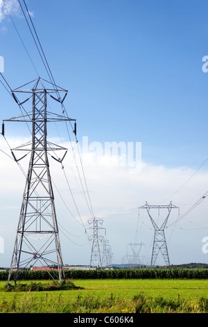 Puissance et énergie : double rangée de pylônes à haute tension dans la région de champ de maïs et du blé récolté. Banque D'Images