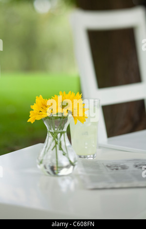 États-unis, Illinois, Metamora, fleurs jaunes dans un vase et de journaux sur la table