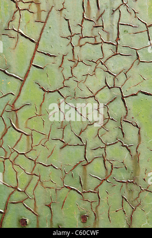 La texture de la vieille peinture verte sur le métal, l'arrière-plan Banque D'Images