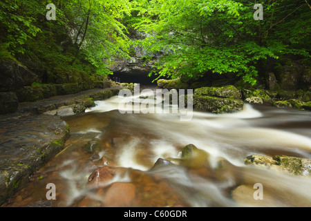 Mellte rivière coulant dans yr Ogof Porth grotte près de Ystradfellte. Le Parc National des Brecon Beacons. Powys. Le Pays de Galles. UK. Banque D'Images