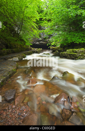 Mellte rivière coulant dans yr Ogof Porth grotte près de Ystradfellte. Le Parc National des Brecon Beacons. Powys. Le Pays de Galles. UK. Banque D'Images