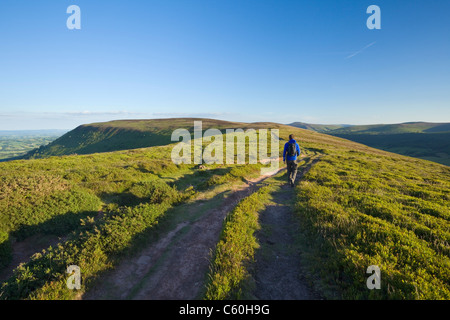 Walker sur l'Offa's Dyke Path sur Hatterrall Ridge près de Llanthony. Les Montagnes Noires. Brecon Beacons. Powys. Le Pays de Galles. UK. Banque D'Images