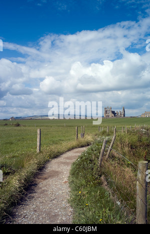 Whitby Abbey vue depuis le sentier sur la façon Cleveland Banque D'Images