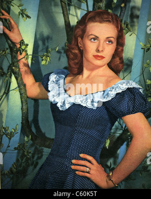 JEANNE CRAIN (1925-2003) Actrice américaine vers 1945 Banque D'Images