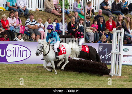 Poney Shetland Grand National Championships à Gatcombe Park Banque D'Images