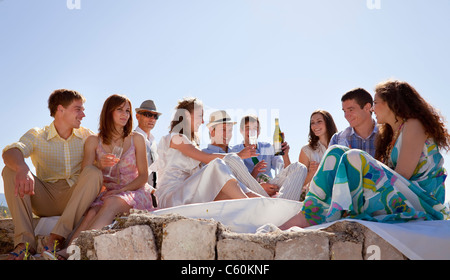 Friends toasting senior couple Banque D'Images