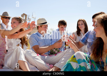 Friends toasting senior couple Banque D'Images