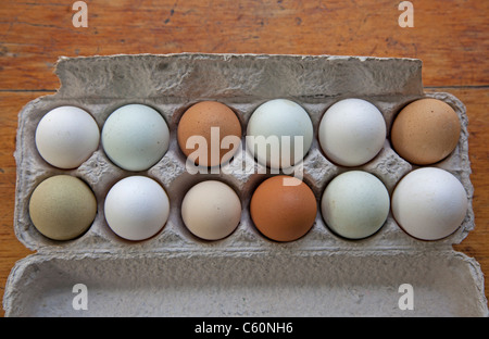 Une douzaine d'œufs biologiques frais de la ferme à la main de différentes couleurs Banque D'Images