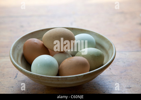 Variété d'oeufs frais de la ferme de couleur différente dans un bol Banque D'Images