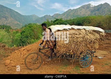 Man riding bicycle panier Athoor Tamil Nadu Inde du Sud Banque D'Images