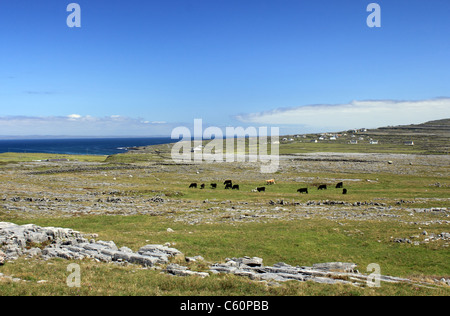 Paysage karstique autour de Dun Aonghasa, l'Inishmore, la plus grande des îles d'Aran, Irlande Banque D'Images