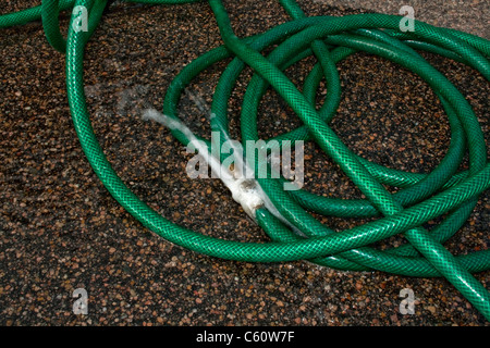 Tuyau de jardin avec raccord qui fuit, pulvériser de l'eau sur une chaussée mouillée. Banque D'Images