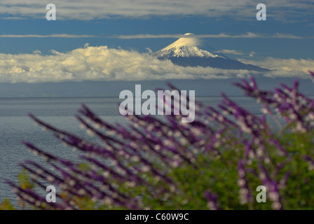 Le Lac Llanquihue et d'Osorno Volcano View de Frutillar au X Region de los Lagos, Chile Banque D'Images