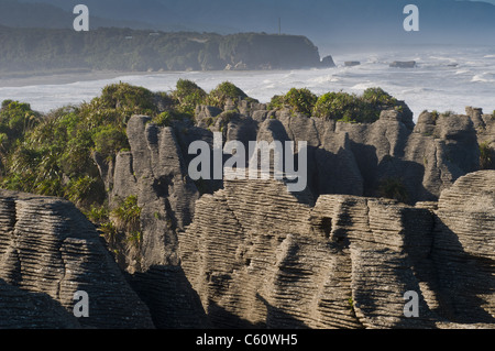 Punakaiki pancake rock, à la côte ouest de la Nouvelle-Zélande, d'un matin brumeux Banque D'Images