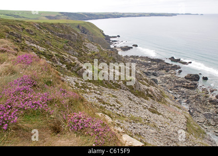 Au-dessus de Tregardock Beach sur la côte atlantique du Cornwall, à au sud-ouest vers l'ensemble de Port Isaac Bay à un lointain Point Pentire Banque D'Images