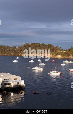 Vue de bateaux amarrés à Halfmoon Bay. L'île Stewart, Southland, Nouvelle-Zélande, Australie Banque D'Images