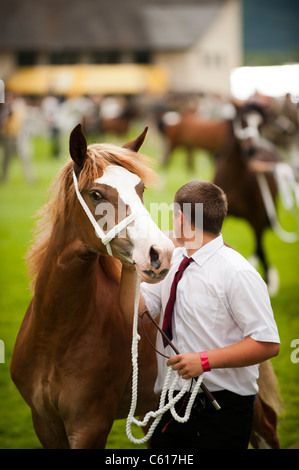 Sur les chevaux au Royal Welsh Show agricole, Builth Wells, Pays de Galles, 2011 Banque D'Images