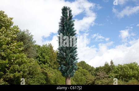 Un téléphone cellulaire au mât de communication sous la forme d'un arbre. Banque D'Images