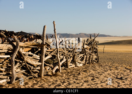 La clôture en bois au village Himba. Purros, Nord de Kaokoland, Namibie, Kaokoveld. Banque D'Images