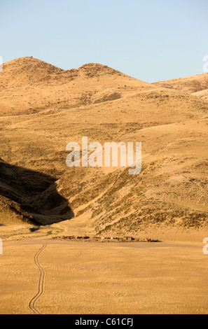 Le village Himba traditionnel à Purros. Le nord du Kaokoland, Namibie, Kaokoveld. Banque D'Images