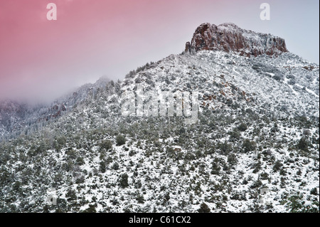 Forte tempête de neige le long de la Sierra Ancha espace sauvage au nord de Roosevelt Lake. Le lever du soleil. Banque D'Images