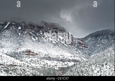 Forte tempête de neige le long de la Sierra Ancha espace sauvage au nord de Roosevelt Lake. Banque D'Images