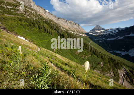 Vue depuis le sentier du Haut-Plateau au crépuscule, Glacier National Park, Montana, USA Banque D'Images