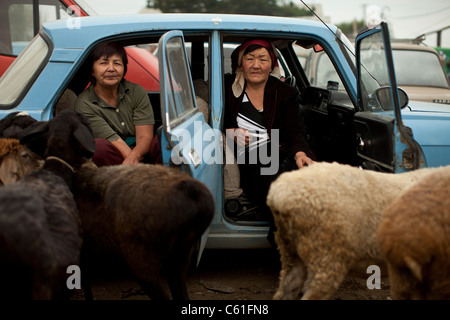 Le dimanche marché des animaux (Mal Bazaar) à Karakol, le Kirghizistan. Banque D'Images