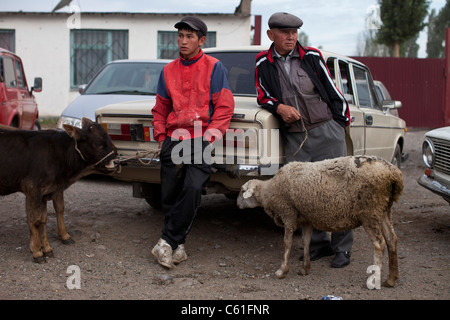 Le dimanche marché des animaux (Mal Bazaar) à Karakol, le Kirghizistan. Banque D'Images