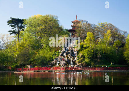 Dans le lac du parc Peasholm Scarborough, North Yorkshie. Banque D'Images