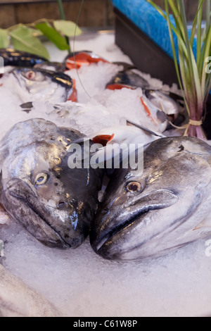 Têtes de saumon sur la glace comme garniture pour vendre à un marché public Banque D'Images