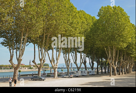 Parking et l'avenue des Platanes sur les rives du fleuve Rhône à Tournon sur Rhone France Banque D'Images