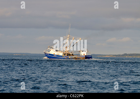 Coque bleu bateau de pêche La pêche au large du cap Cod avec outirggers prolongée sur un jour de tempête. USA Banque D'Images