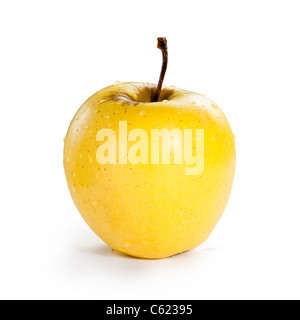 Un cas isolé de pomme Golden Delicious avec de l'eau perle sur fond blanc Banque D'Images